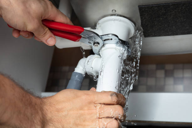Best Mold removal after water damage  in Wailua Homesteads, HI