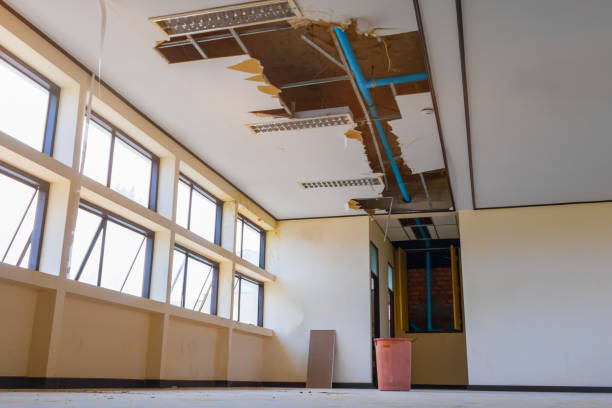 Best Water damage cleanup near me  in Wailua Homesteads, HI