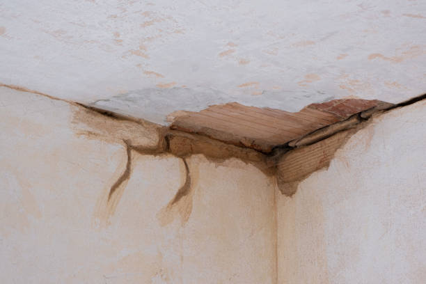 Best Water damage restoration near me  in Wailua Homesteads, HI