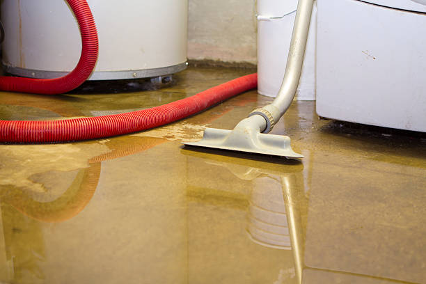 Best Flood damage cleanup  in Wailua Homesteads, HI