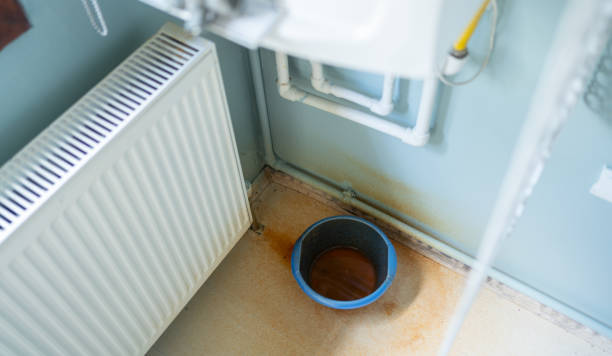 Best Flood damage cleanup  in Wailua Homesteads, HI