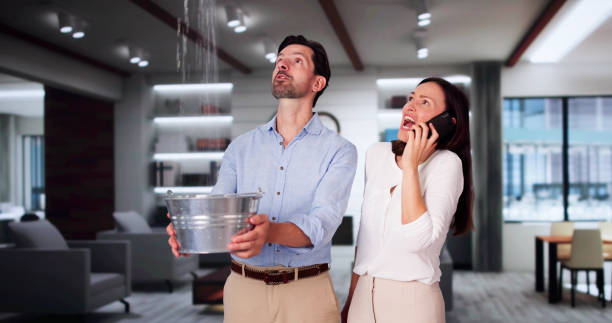 Best Water damage restoration near me  in Wailua Homesteads, HI