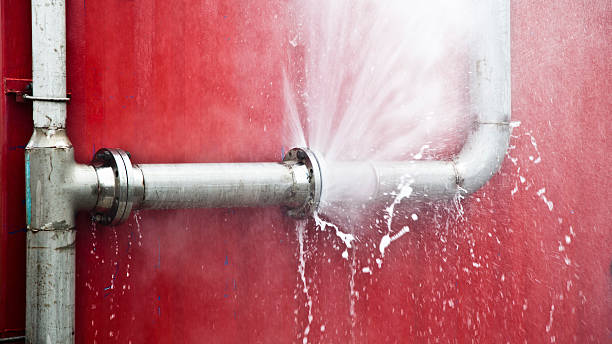 Best Water damage restoration specialists  in Wailua Homesteads, HI