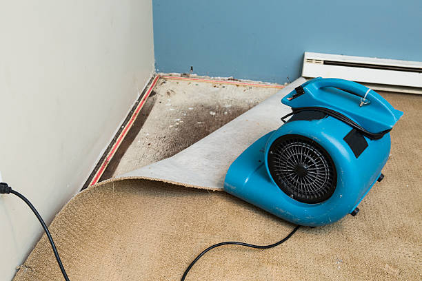 Fire Damage Restoration in HI